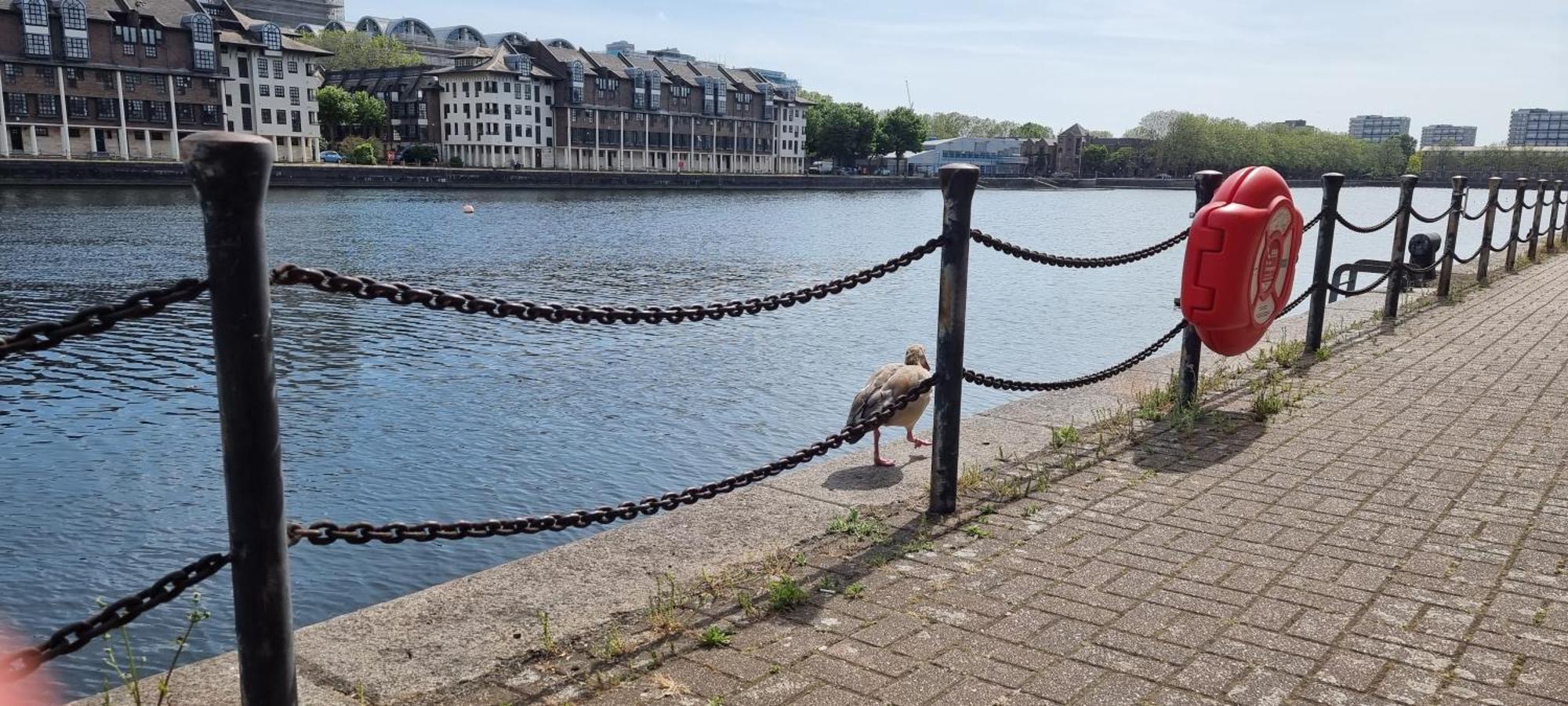 Riverside 1Br With Easy Transport 20Min To City Centre 런던 외부 사진
